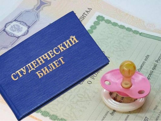 Как оформить студенческий (семейный) капитал через госуслуги?